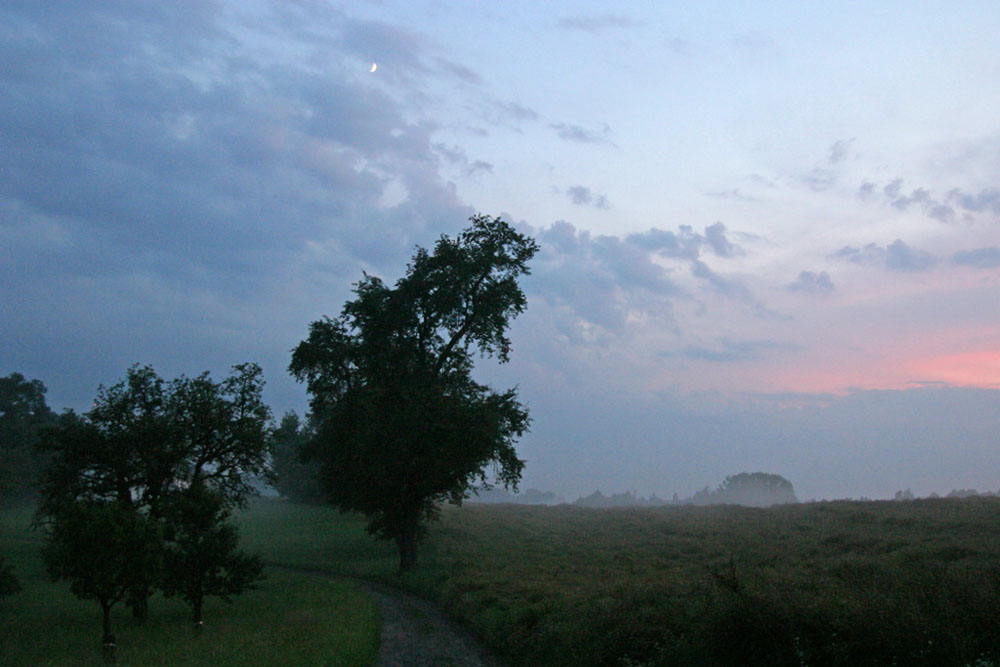 Feldweg, Schwertberg