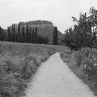 Feldweg und Festung Königstein