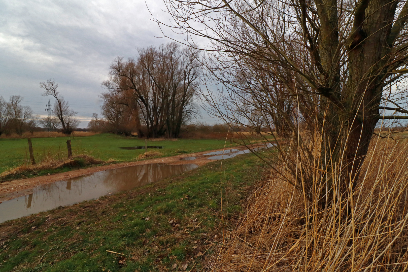 Feldweg unter Wasser