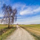 Feldweg unterm Frühlingsblau