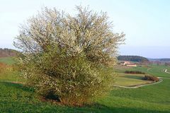 Feldweg zum Fluss