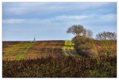 Feldweg zur Stadt