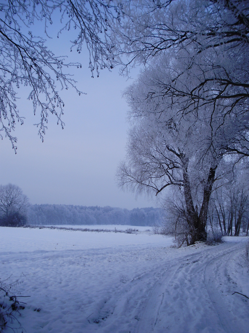 Feldwegausblick