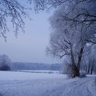 Feldwegausblick