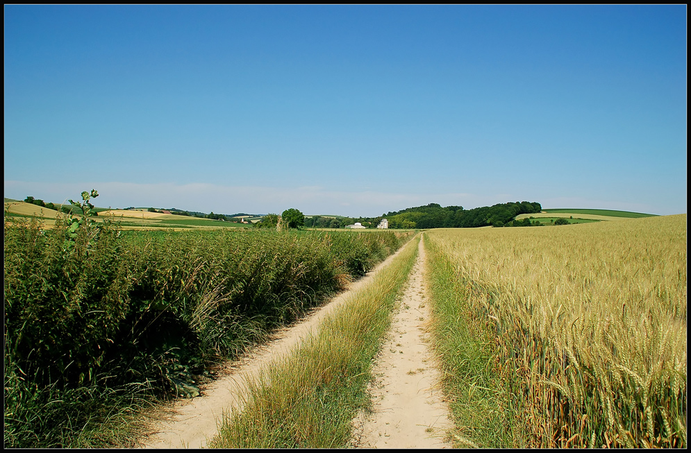 Feldwege... (2)