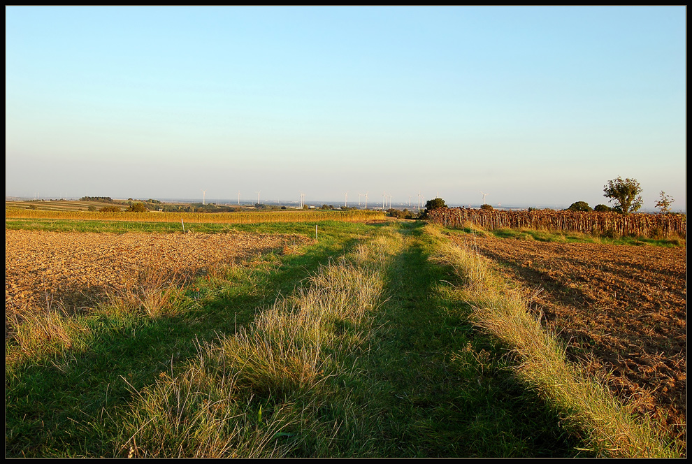 Feldwege... (4)