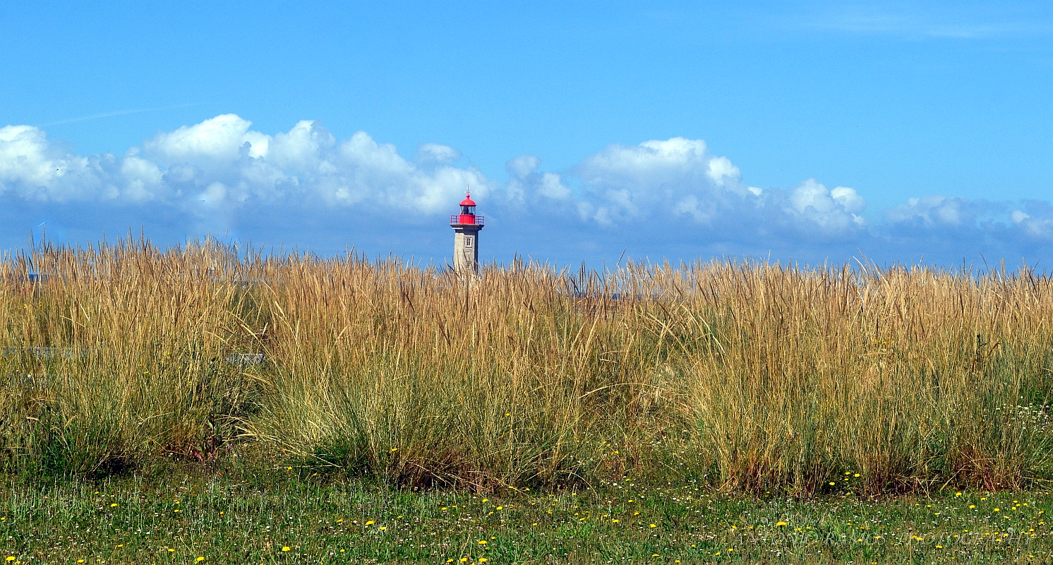 Felgueiras Lighthouse - I I