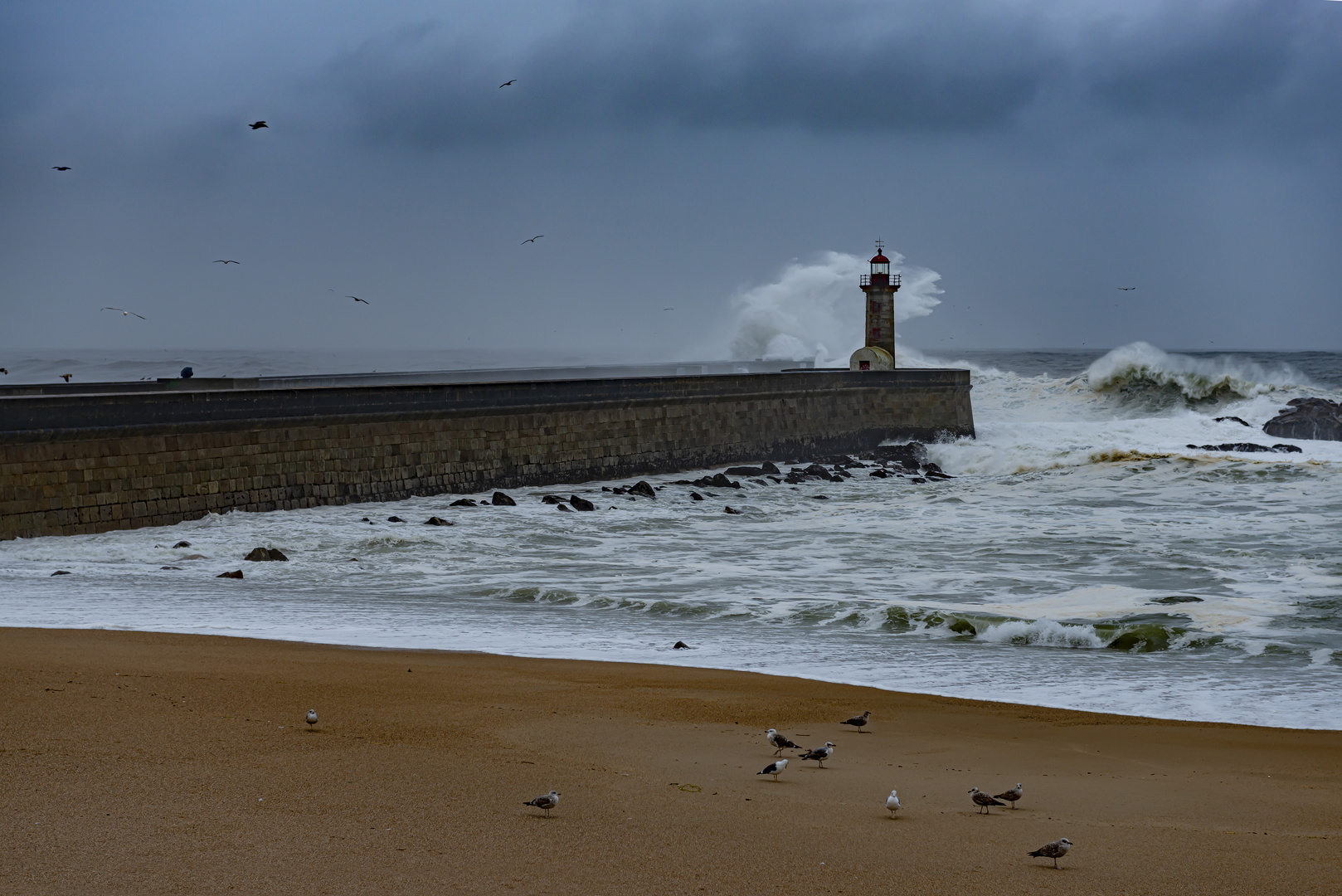 Felgueiras Lighthouse Porto