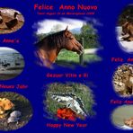 FELICE 2009