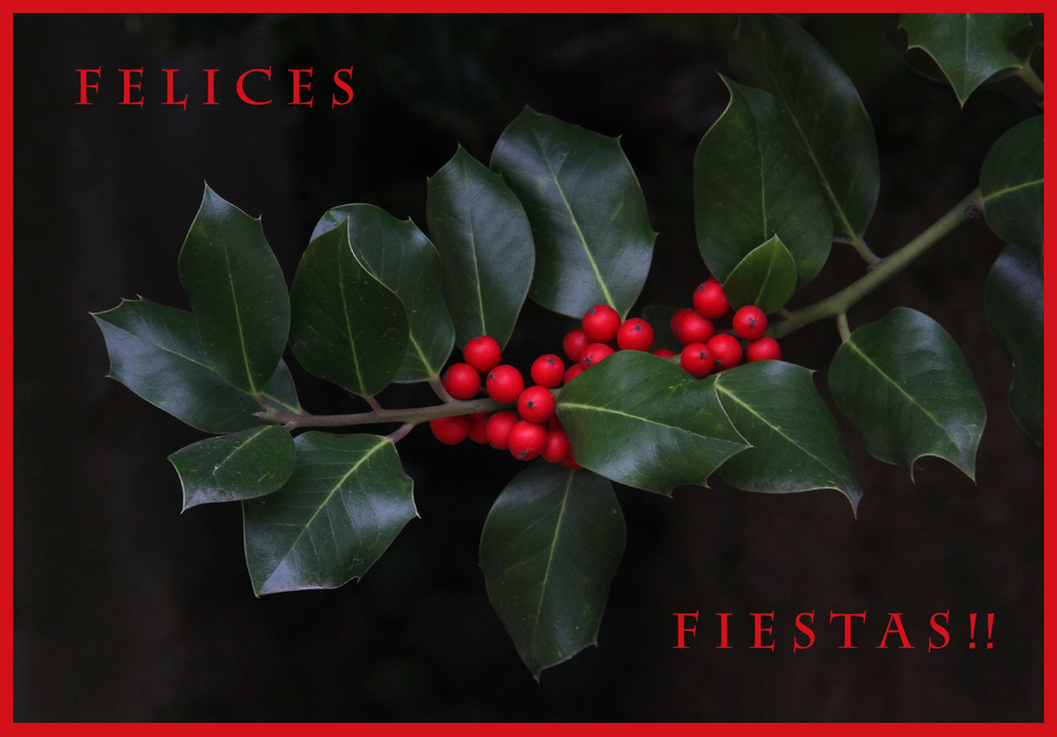 !!FELICES FIESTAS!!