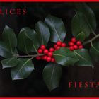 !!FELICES FIESTAS!!