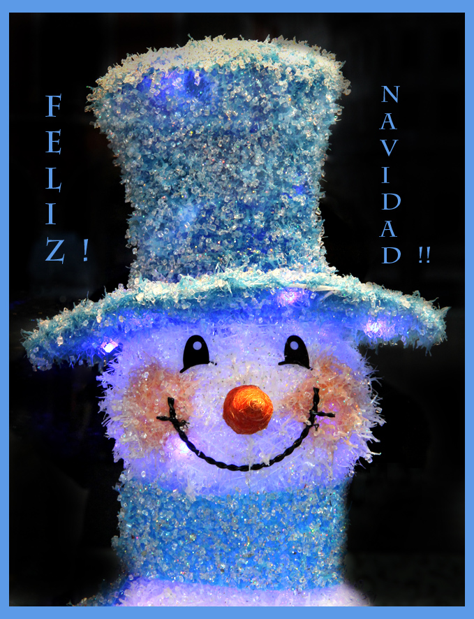 FELICES  NAVIDADES........AZULES!!