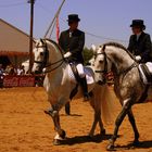 Felicidades ANIMALES ¡¡¡¡ St. Antonio Abad, Patron de los animales