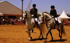 Felicidades ANIMALES ¡¡¡¡ St. Antonio Abad, Patron de los animales