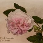 Félicité Parmentier  - Alba-Rose...