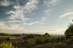 Félines Minervois