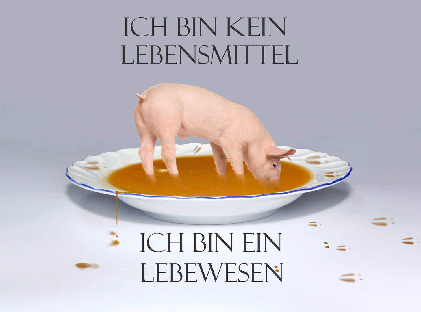 Felix Foto & Bild art, spezial, natur Bilder auf