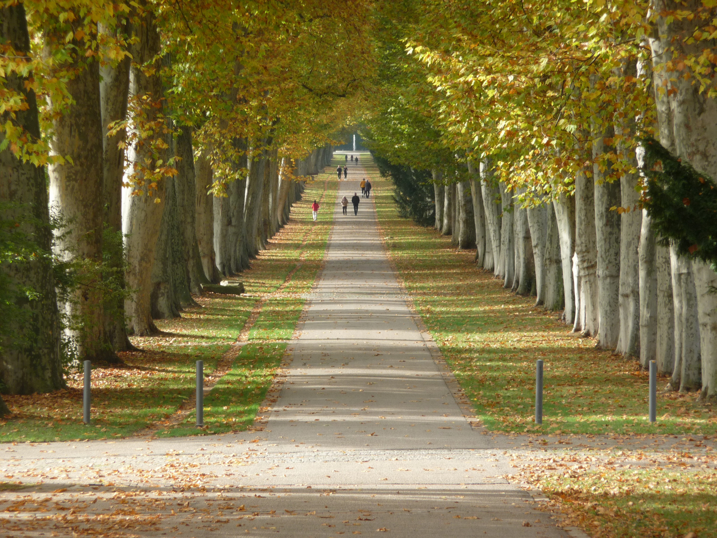 Felix Mendelssohn-Bartholdy-Allee Stuttgart