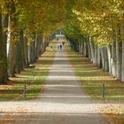 Felix Mendelssohn-Bartholdy-Allee Stuttgart