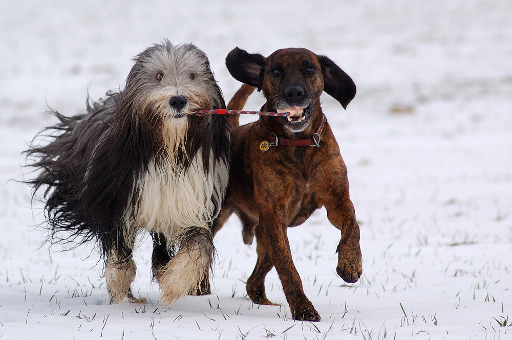 Felix und Theo