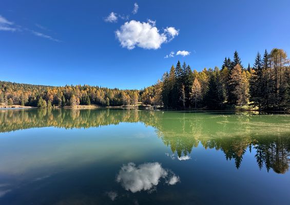 Felix Weiher im Herbst