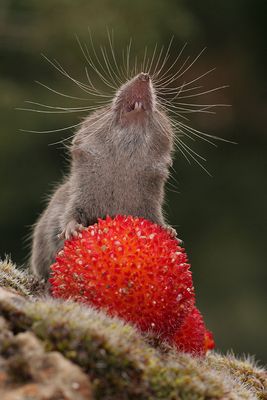 Feliz 2008, buena luz!