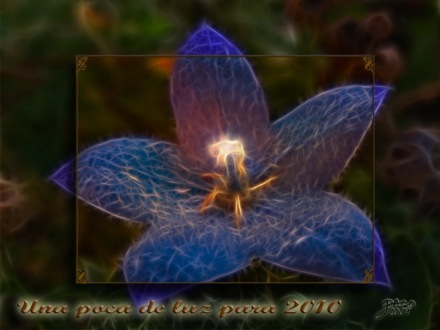 Feliz 2010