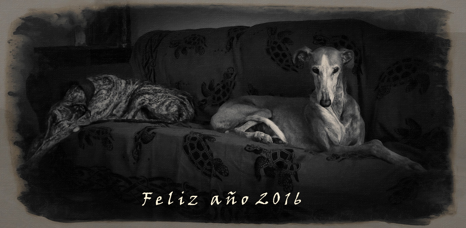 Feliz Año 2016