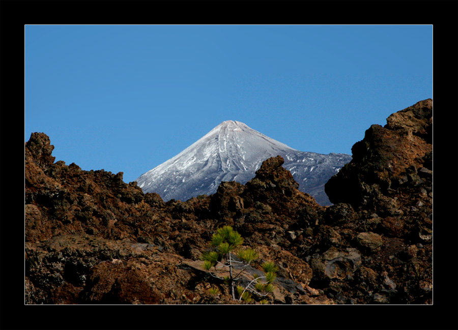 Feliz año nuevo de Tenerife...