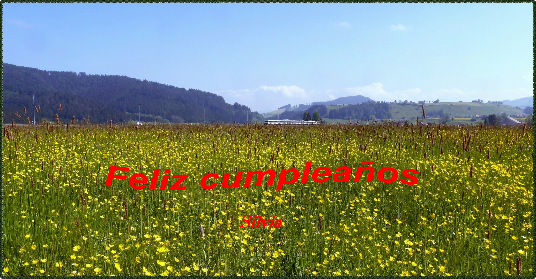 Feliz cumpleaños Foto & Bild | diverses & kurioses Bilder auf fotocommunity