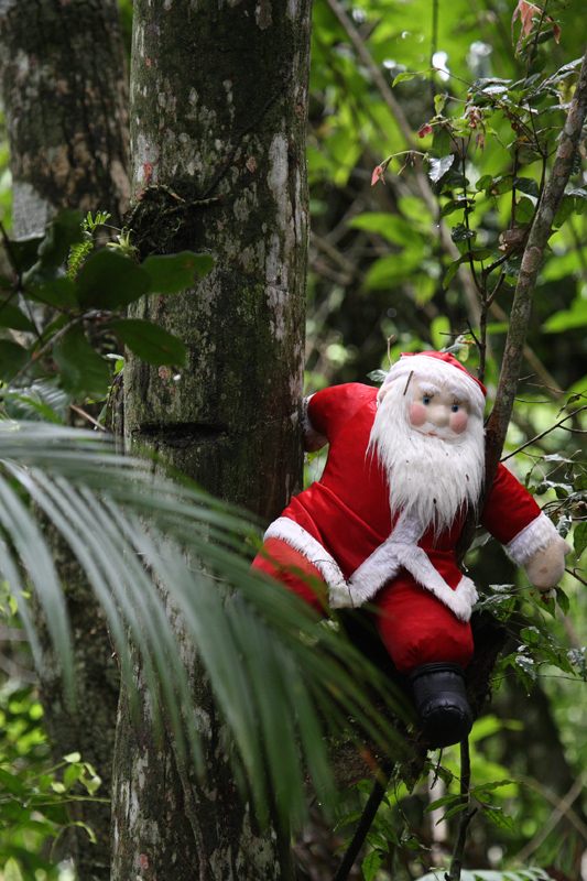 Feliz Natal