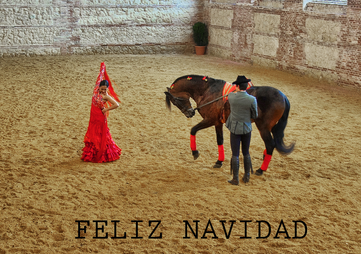 FELIZ NAVIDAD.