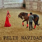 FELIZ NAVIDAD.