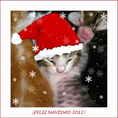 ¡Feliz Navidad 2012!