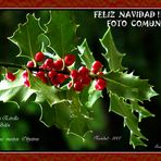 FELIZ NAVIDAD - FC