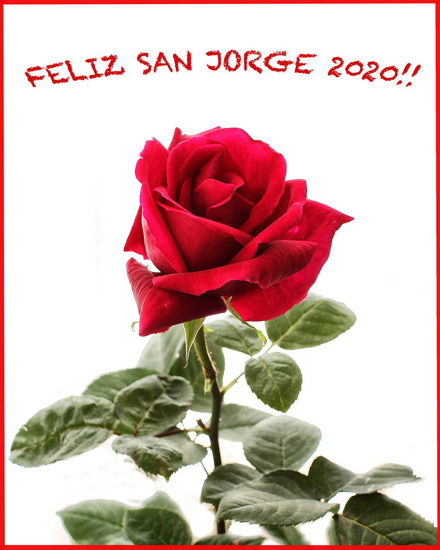 FELIZ SAN JORGE