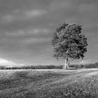 Felldorfer Landschaft