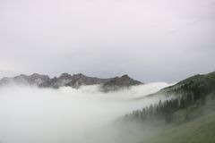 Fellhorn bei Regenwetter