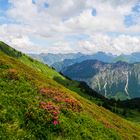 Fellhorn / Oberstdorf