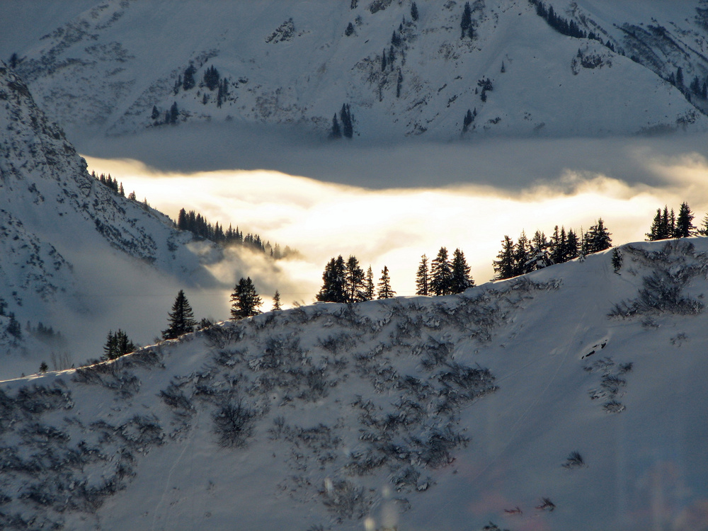 Fellhorn/Kanzelwand im Kleinwalsertal