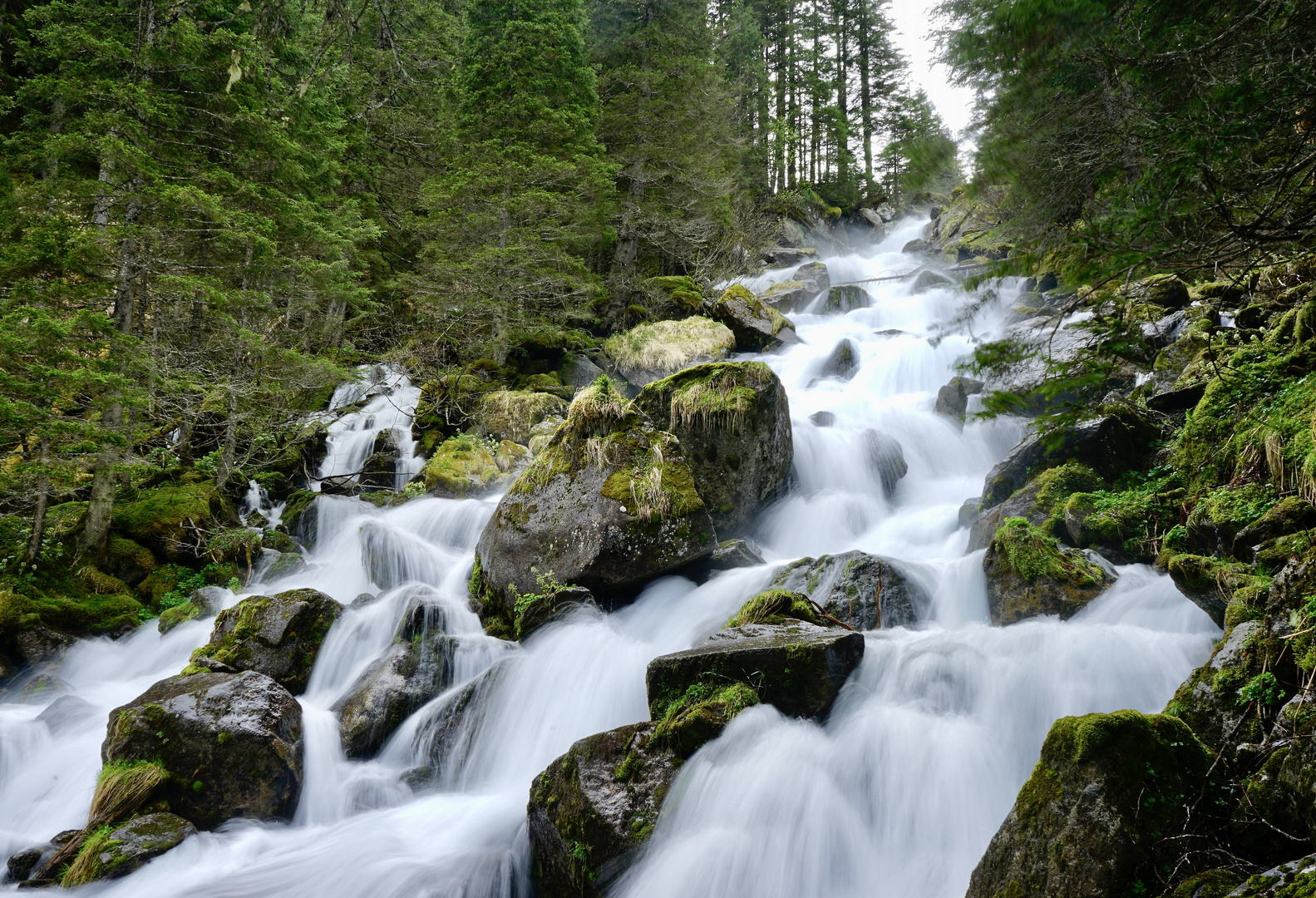 Fellibach , Fellital, Gurtnellen