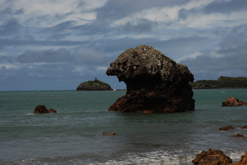 Fels am Strand des Cape Hillborough National Park