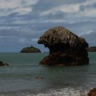 Fels am Strand des Cape Hillborough National Park