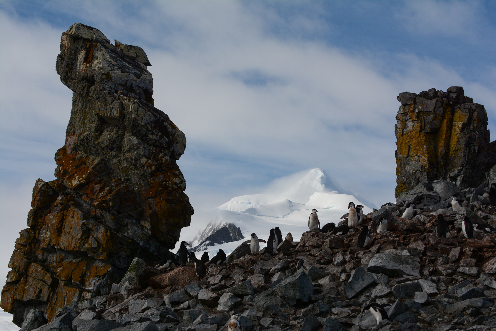 Fels, Eis und Pinguine