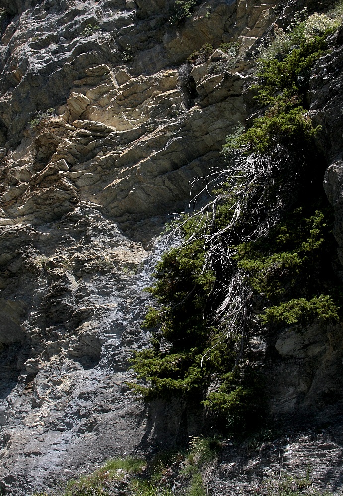 Fels-Formationen