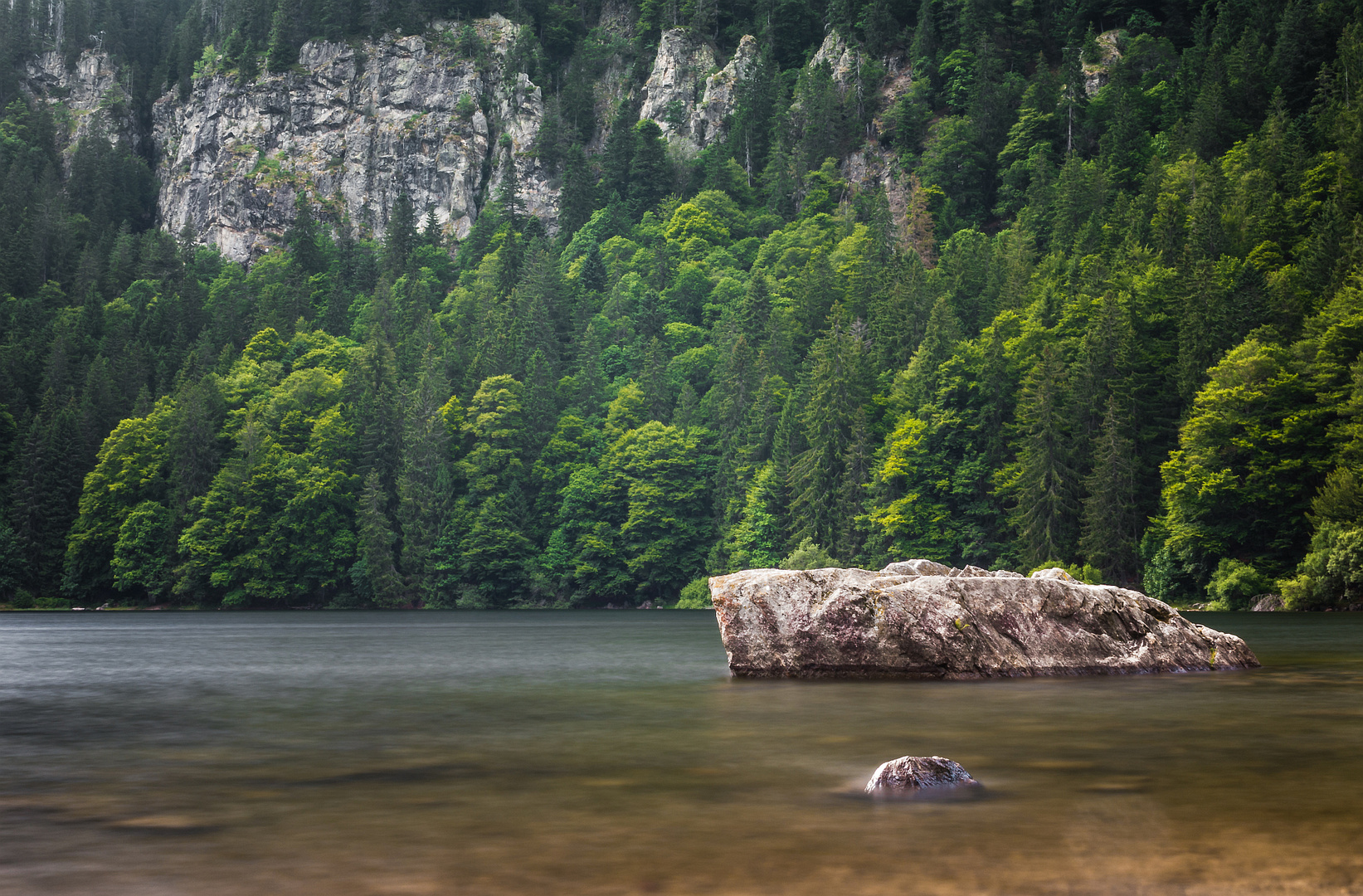 Fels im Feldsee