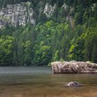 Fels im Feldsee