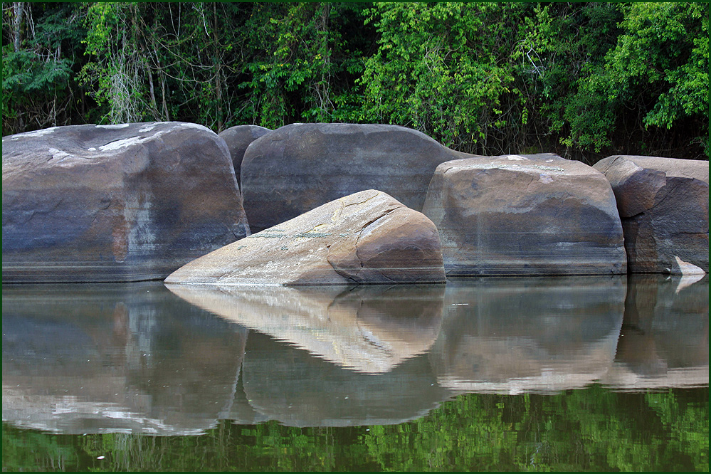 Fels im Regenwald