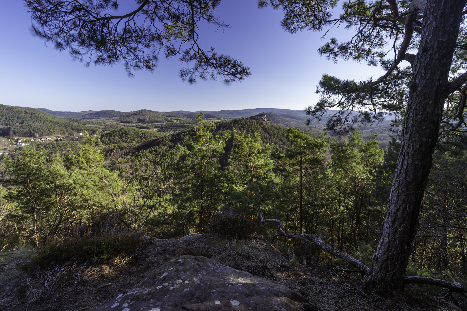 Fels Wald Burg