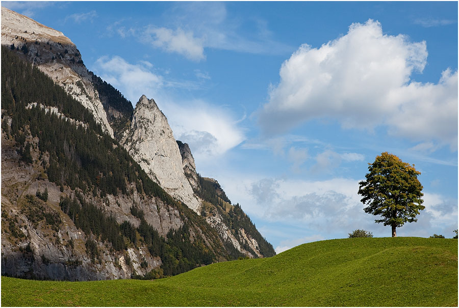 Fels - Wolke - Baum